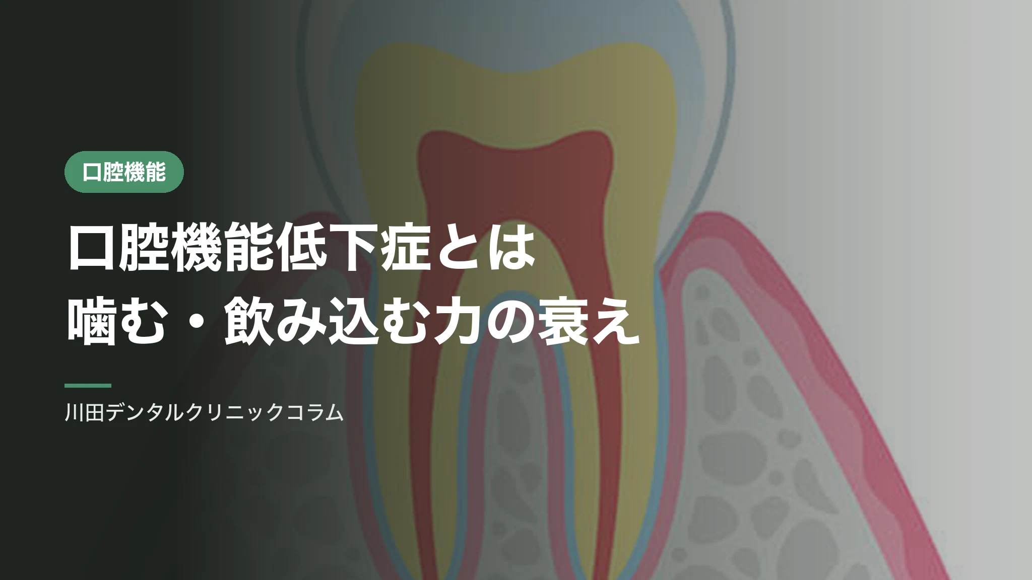 口腔機能低下症とは｜噛む・飲み込む力の衰えを検査する